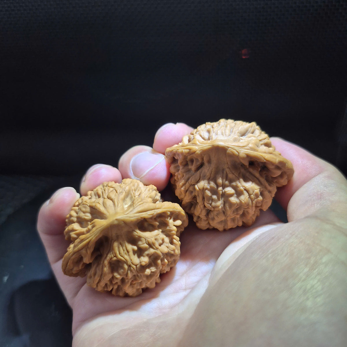 Wenwan Walnuts No 465