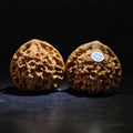Wenwan Walnuts No 465