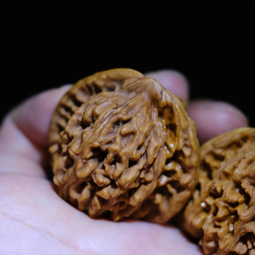 Wenwan Walnuts No 491