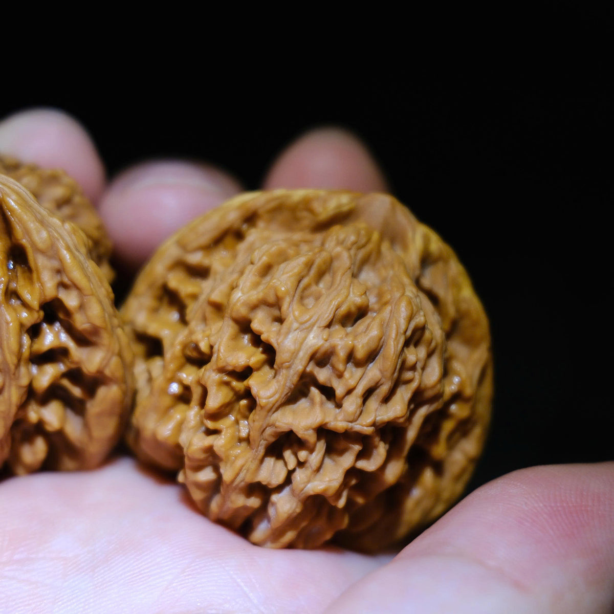 Wenwan Walnuts No 491