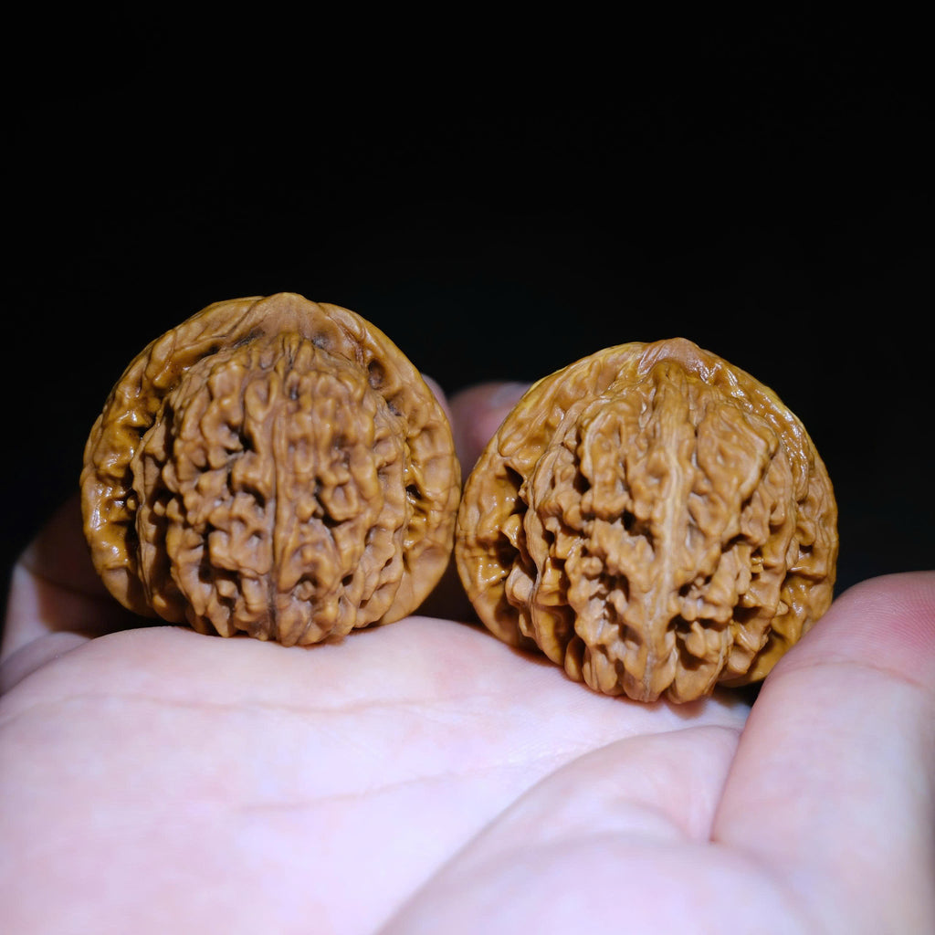Wenwan Walnuts No 491