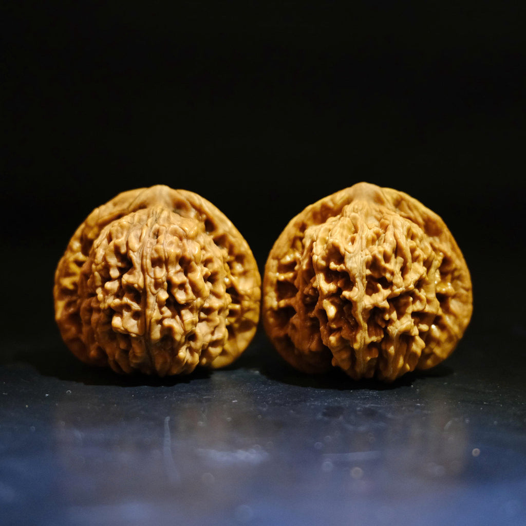 Wenwan Walnuts No 491