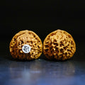 Wenwan Walnuts No 491