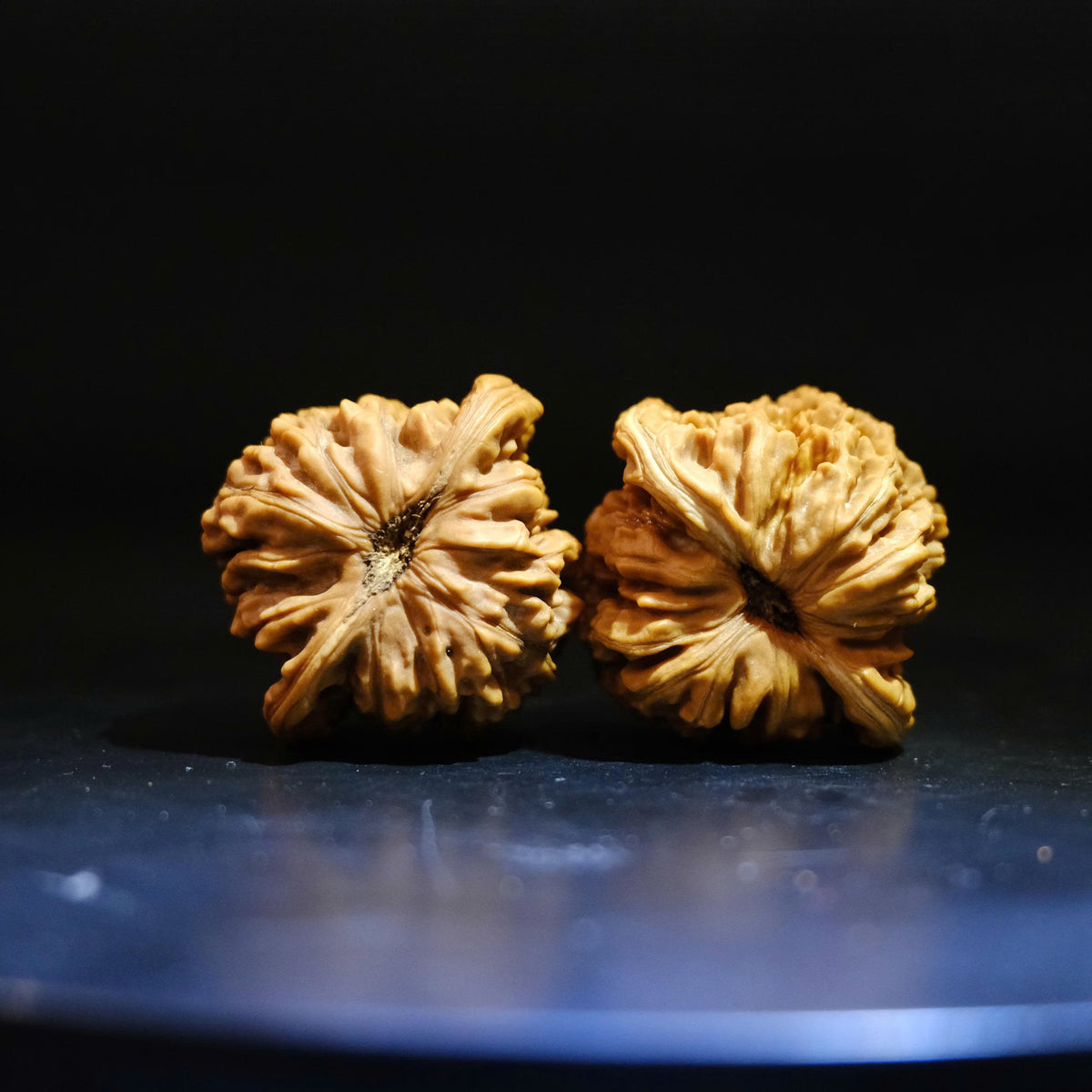 Wenwan Walnuts No 491