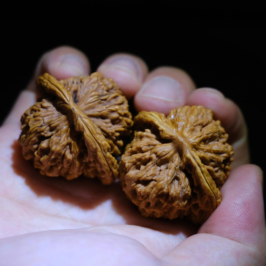 Wenwan Walnuts No 491