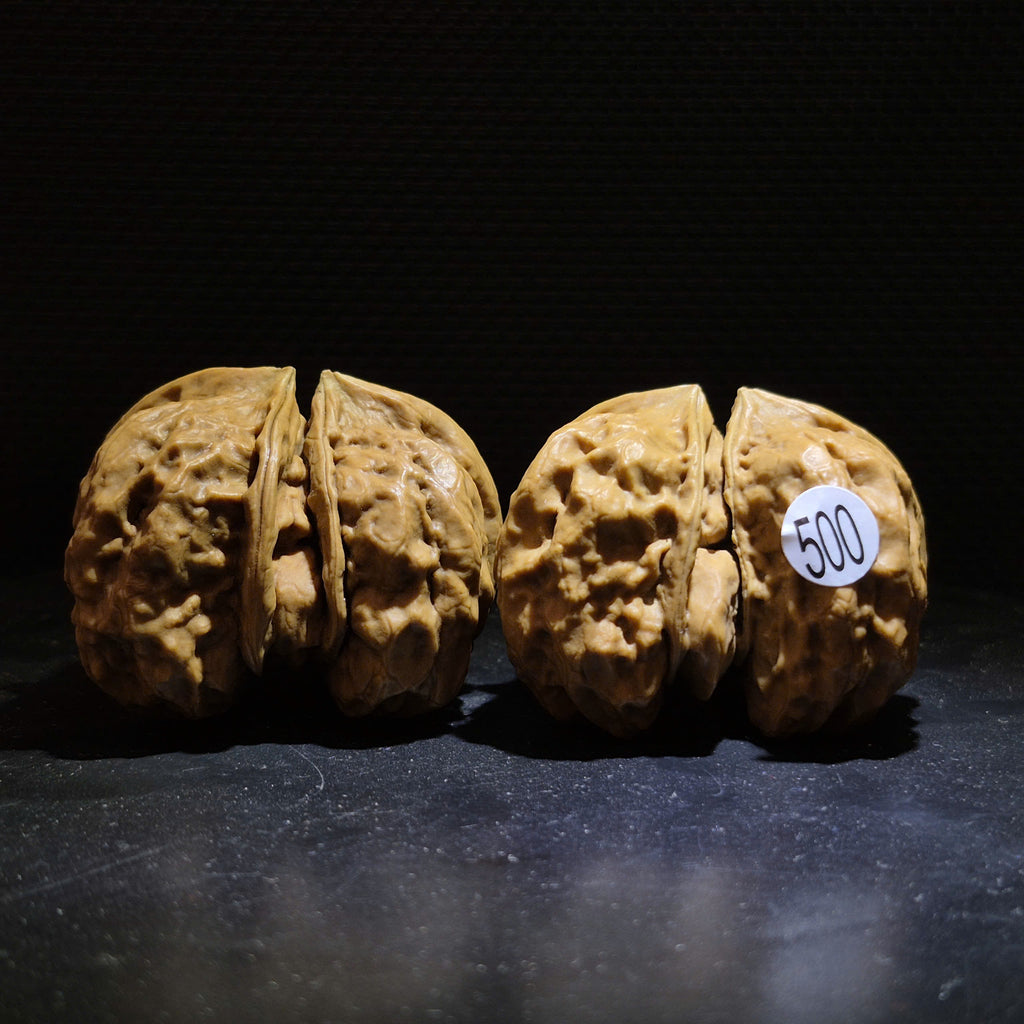 Wenwan Walnuts No 500