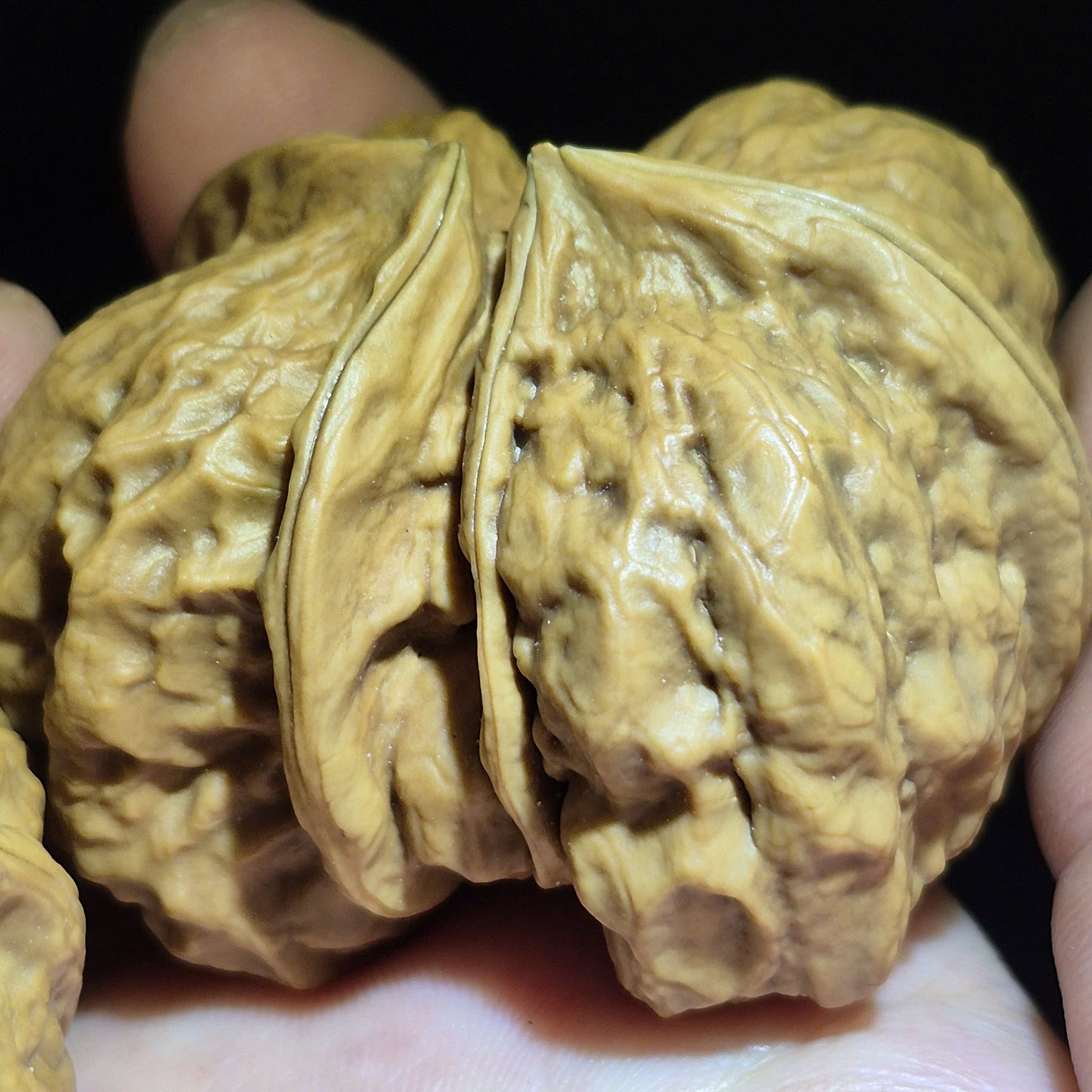 Wenwan Walnuts No 500