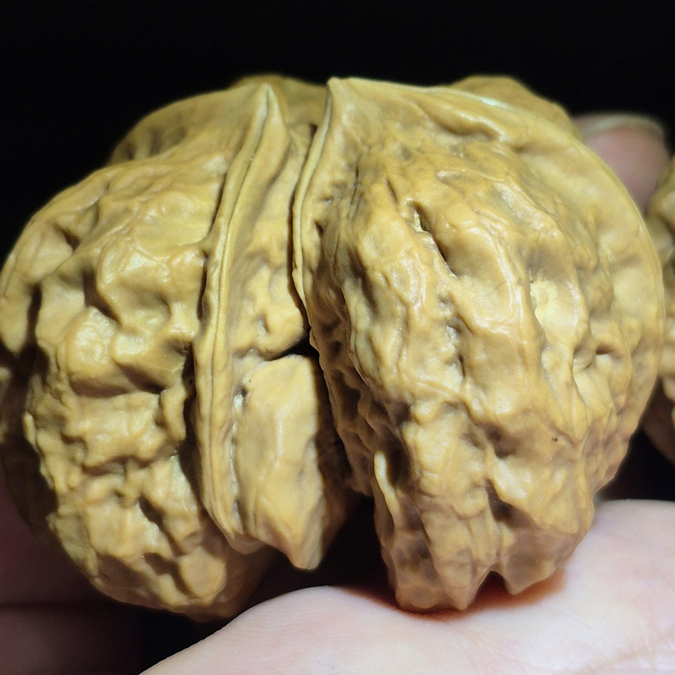 Wenwan Walnuts No 500